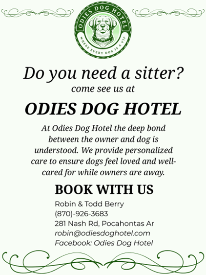 Pet Services