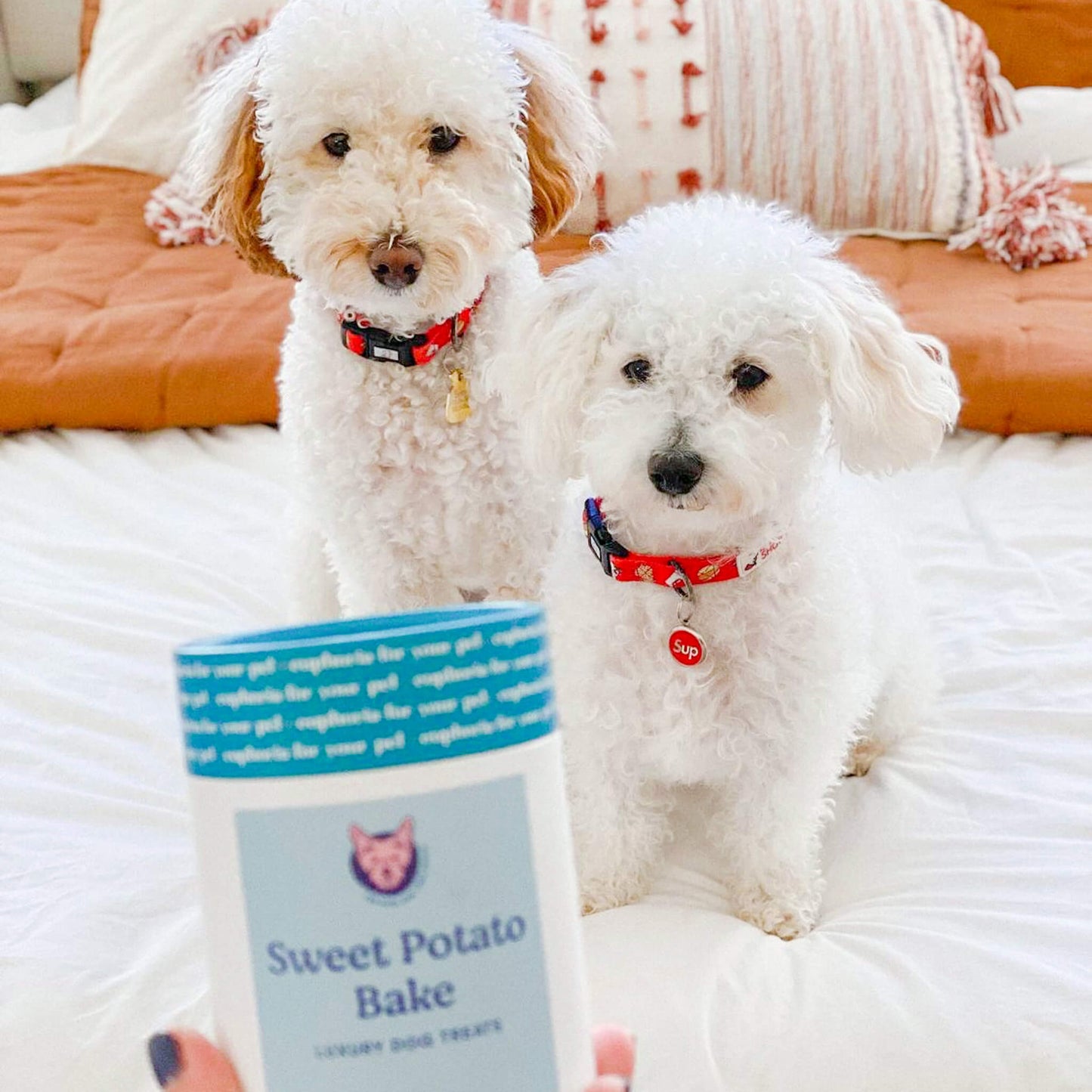 Sweet Potato Bake Dog Treats