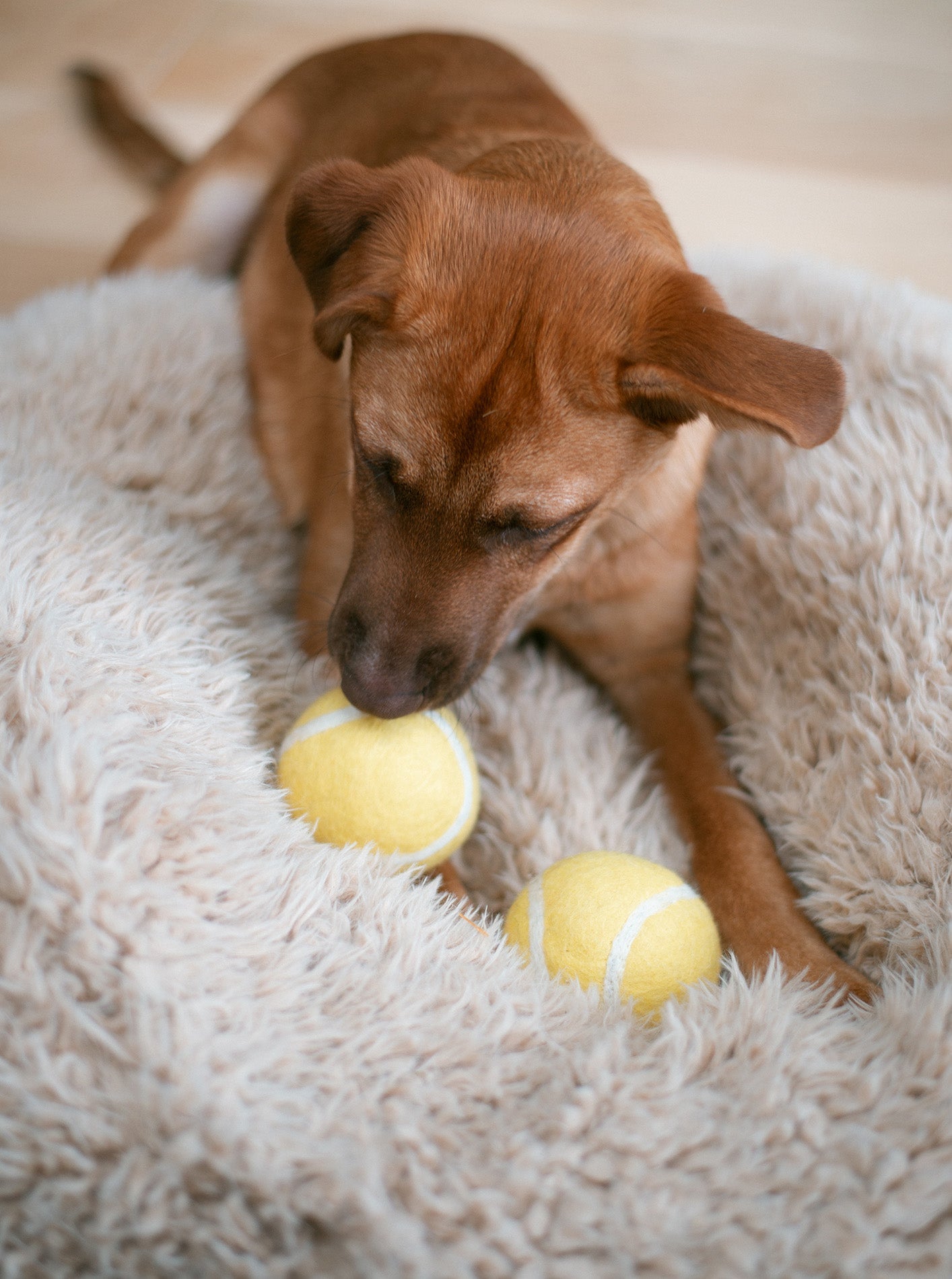 WOOL TENNIS BALL