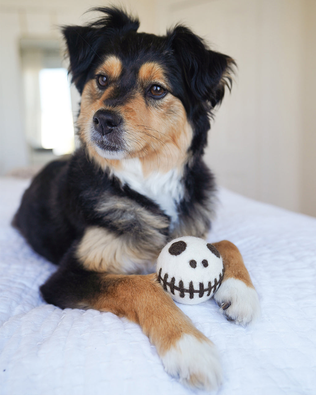 SKELETON BEASTBALL