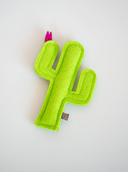 KITTY CACTUS