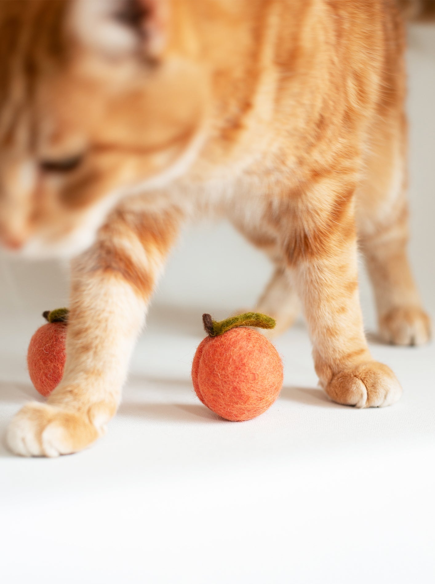 KITTY PEACHES
