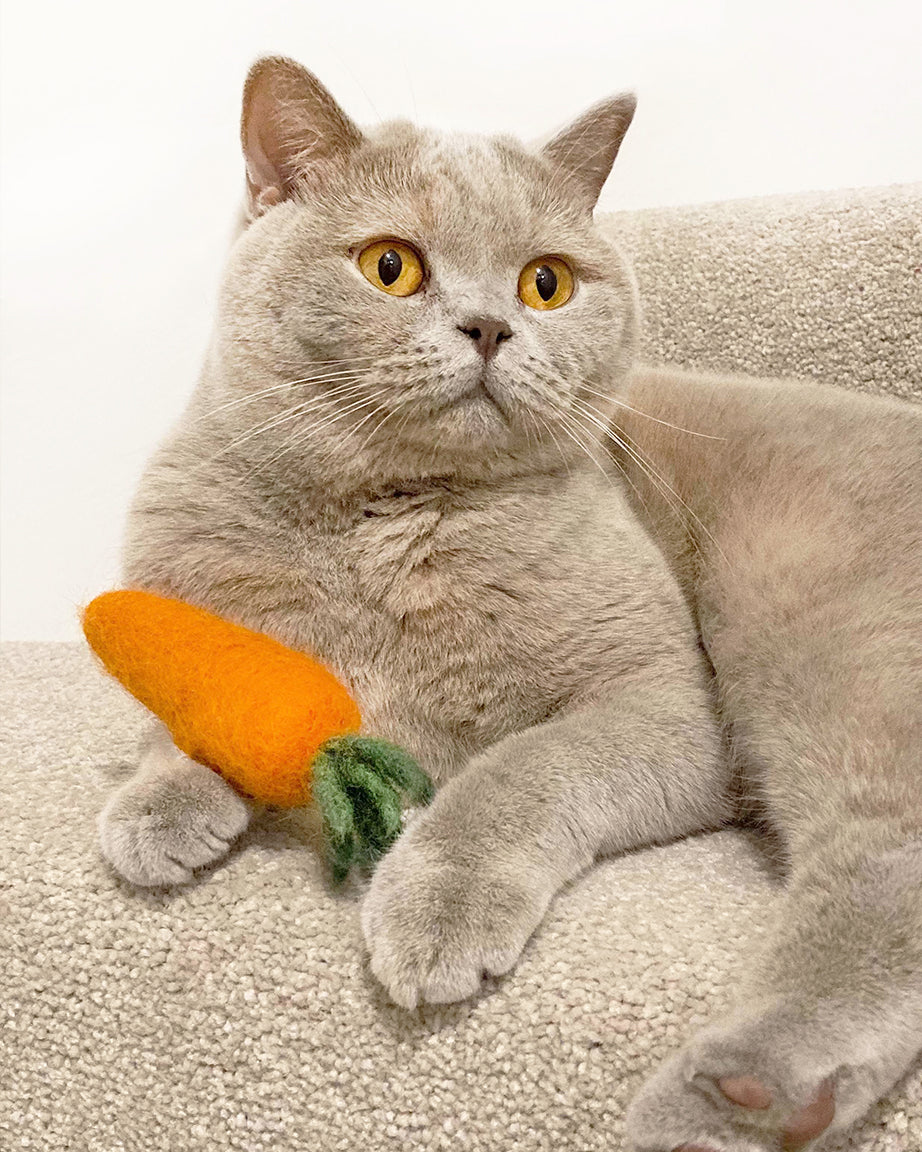 WOOL CARROT