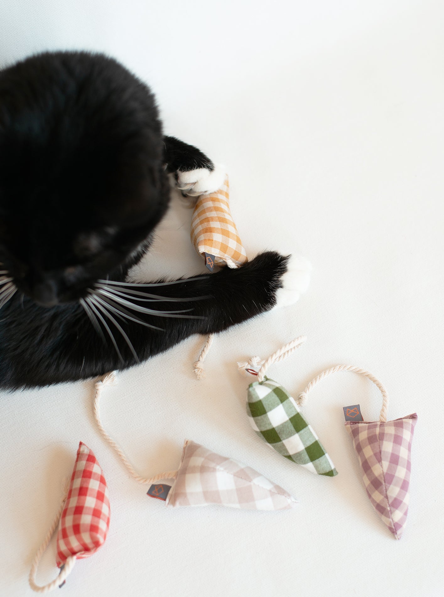 MODERN MOUSE - GINGHAM