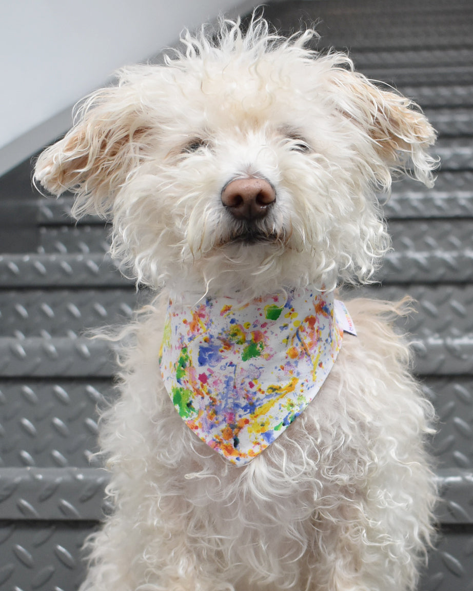 RAINBOW PET BANDANAS
