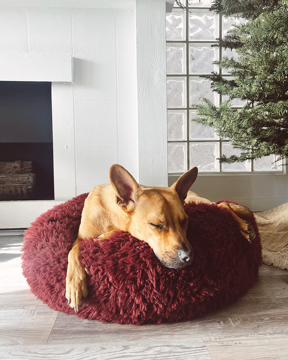 POD DOG BED