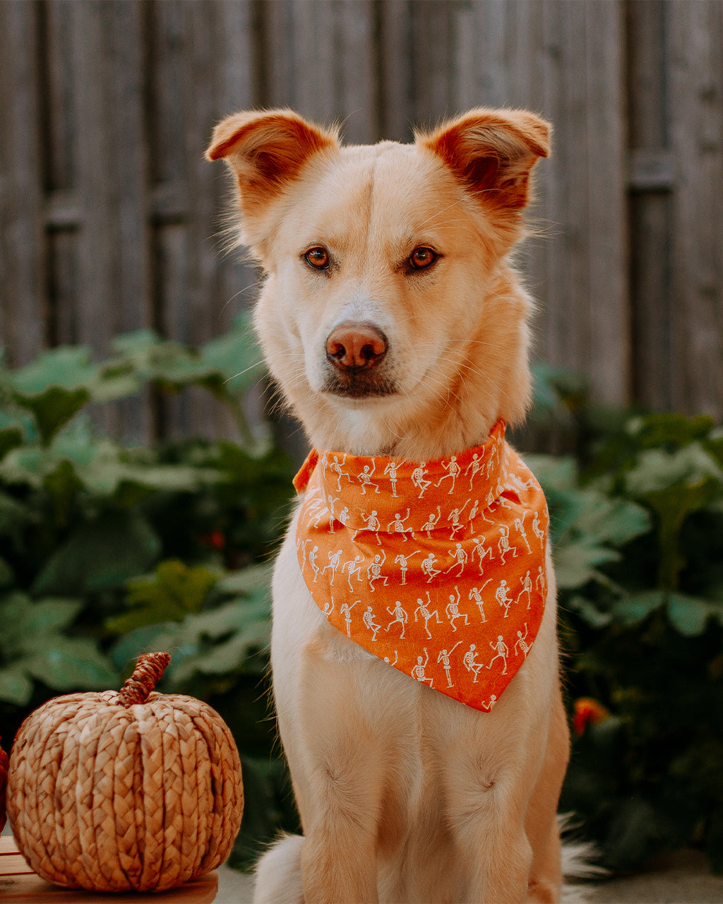 SKELETON BANDANA